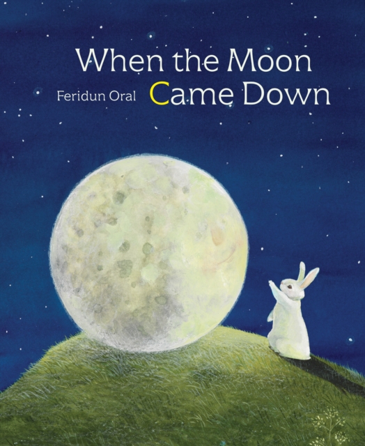 When The Moon Came Down