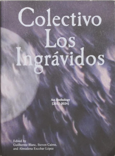 Colectivo Los Ingravidos