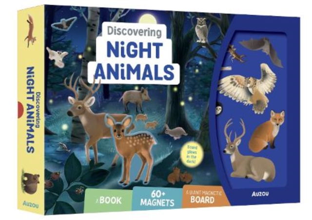 Discovering Night Animals