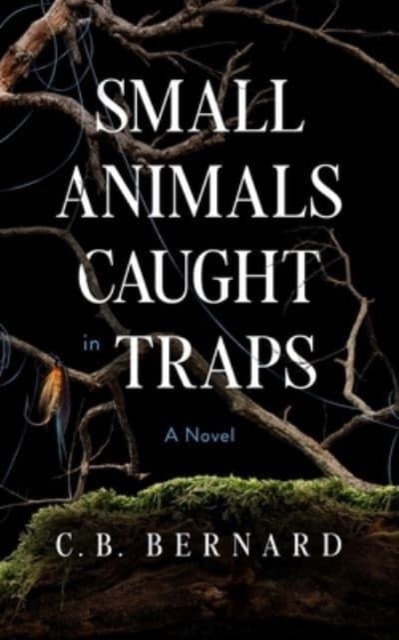 Small Animals Caught in Traps