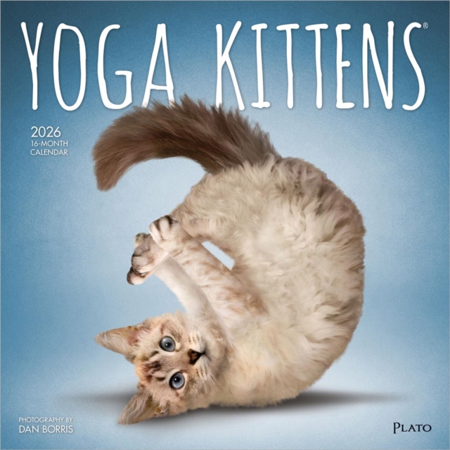Yoga Kittens 2026 Square Plato Calendar