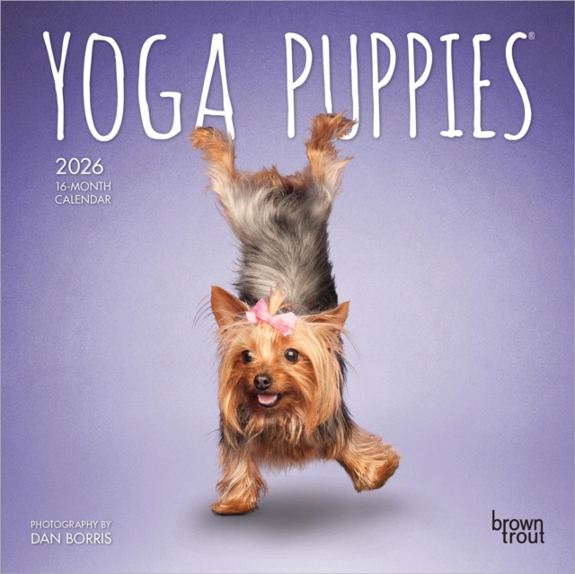 Yoga Puppies 2026 Mini 7x7 Calendar