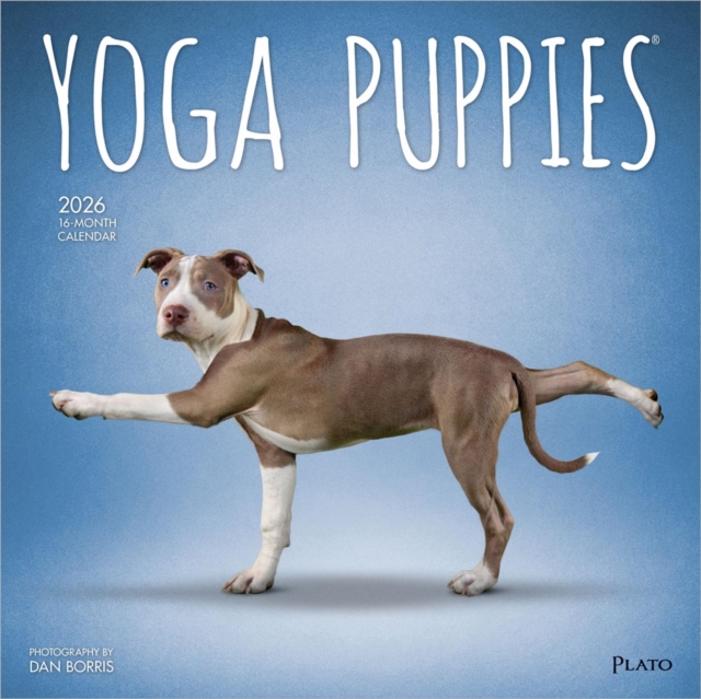 Yoga Puppies 2026 Square Plato Calendar
