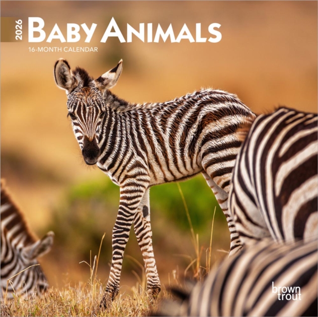 Baby Animals 2026 Mini 7x7 Calendar