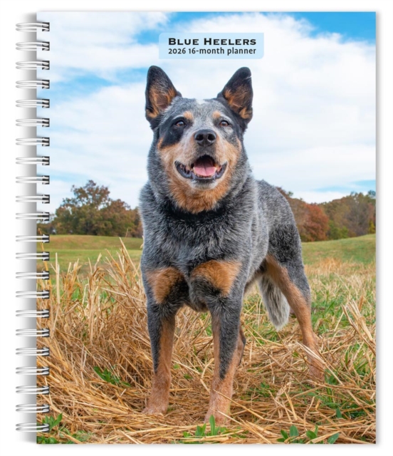 Blue Heelers 2026 Engagement Diary