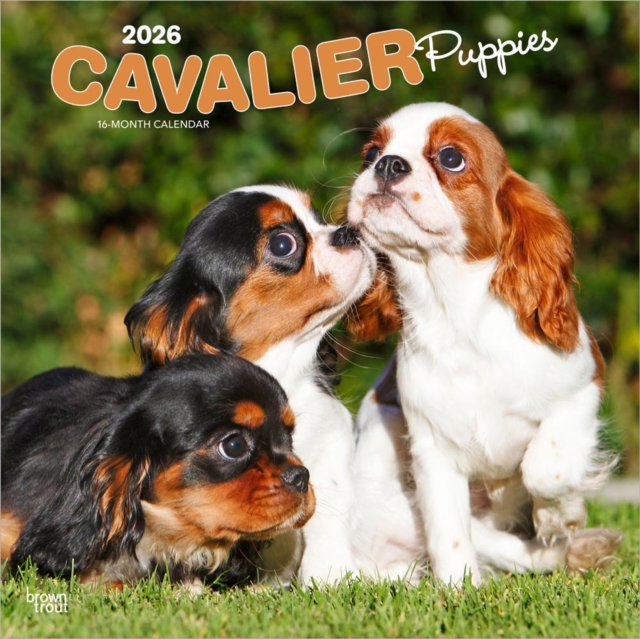 Cavalier King Charles Spaniel Puppies 2026 Square Flap Calendar