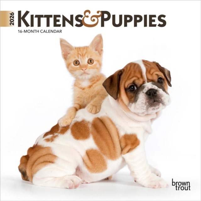 Kittens & Puppies 2026 Mini 7x7 Calendar