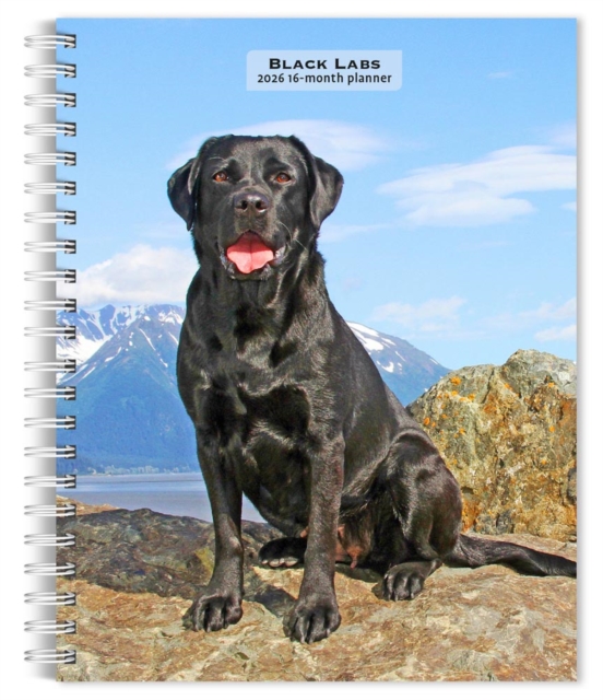 Labrador Retrievers, Black 2026 Engagement Diary