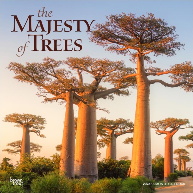 Majesty of Trees, The 2026 Square Flap Calendar