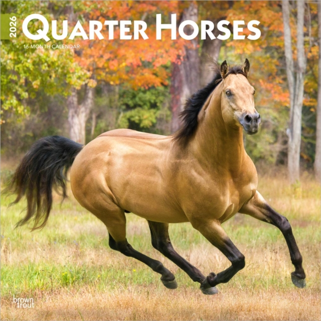 Quarter Horses 2026 Square Flap Calendar