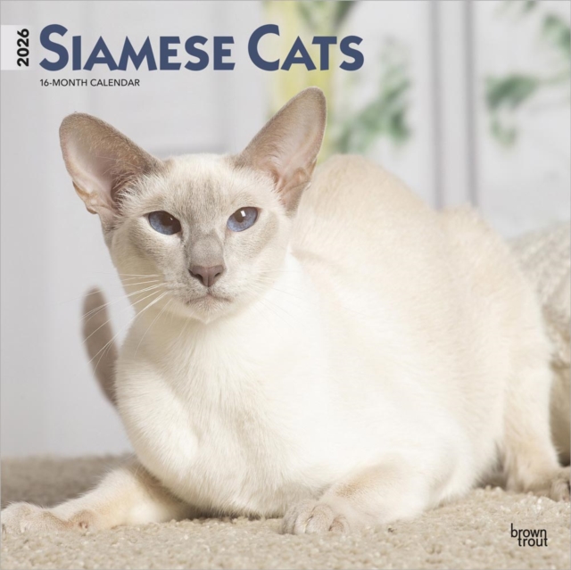 Siamese Cats 2026 Square Flap Calendar