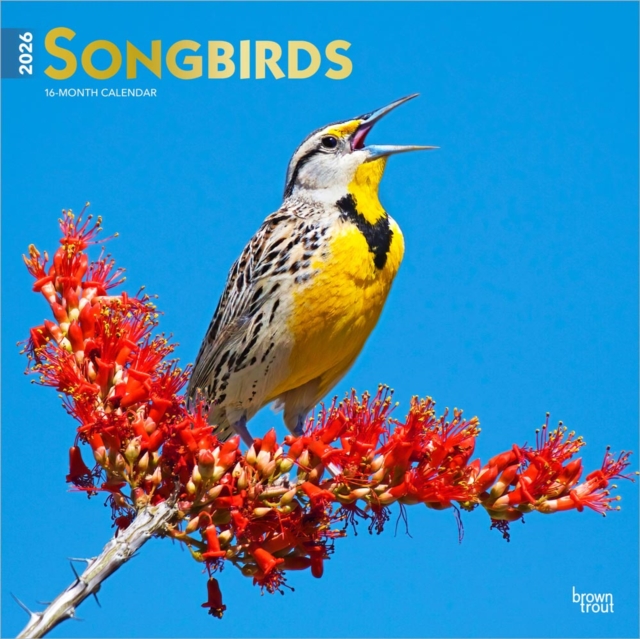 Songbirds 2026 12 X 24 Monthly Square Wall Foil Calendar