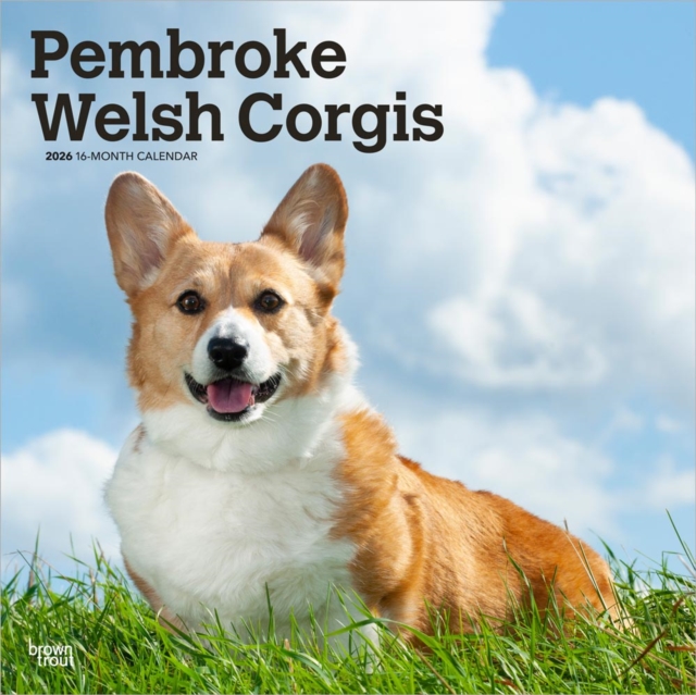 Welsh Corgis, Pembroke 2026 Square Flap Calendar