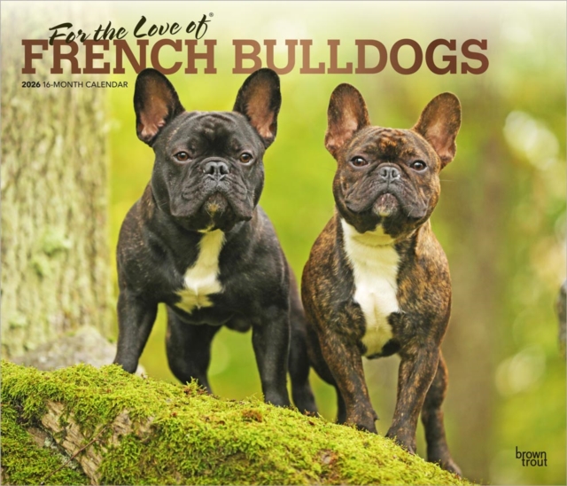 French Bulldogs, For the Love of 2026 Deluxe Flap Foil Calendar