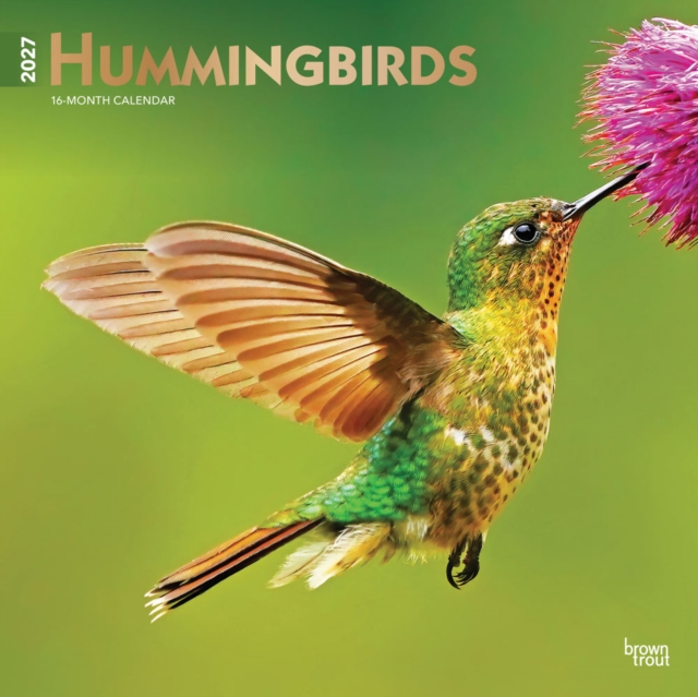 Hummingbirds | 2027 12 x 24 Inch (Hanging) Monthly Square Wall Calendar | Foil Stamped Cover | Plastic-Free | BrownTrout | Animals Wildlife