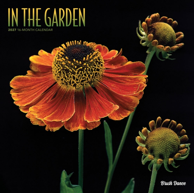 In the Garden | 2027 12 x 24 Inch (Hanging) Monthly Square Wall Calendar | Plastic-Free | Brush Dance | Flowers Plants Floral Photography