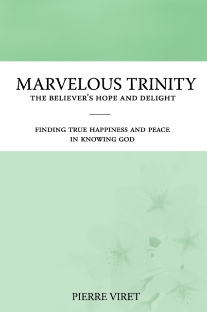 Marvelous Trinity, the Believer's Hope and Delight