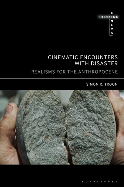 Cinematic Encounters with Disaster