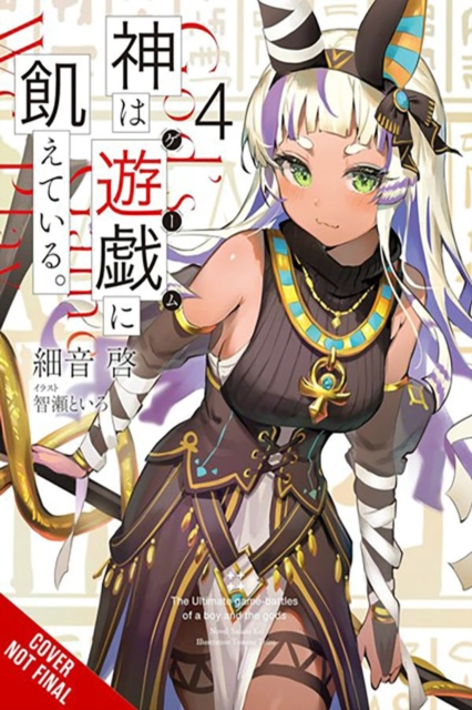 Gods' Games We Play, Vol. 4 (light novel)