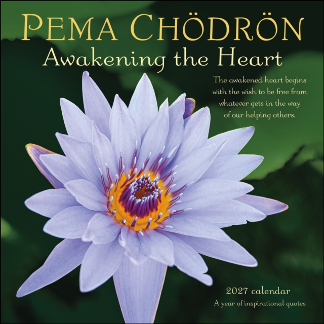 Pema Chodron 2027 Wall Calendar