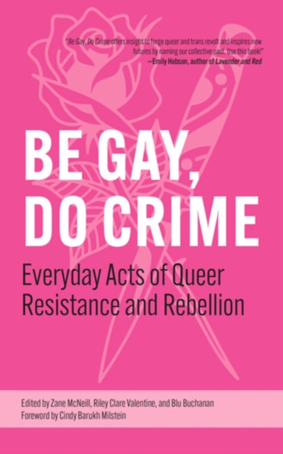 Be Gay, Do Crime