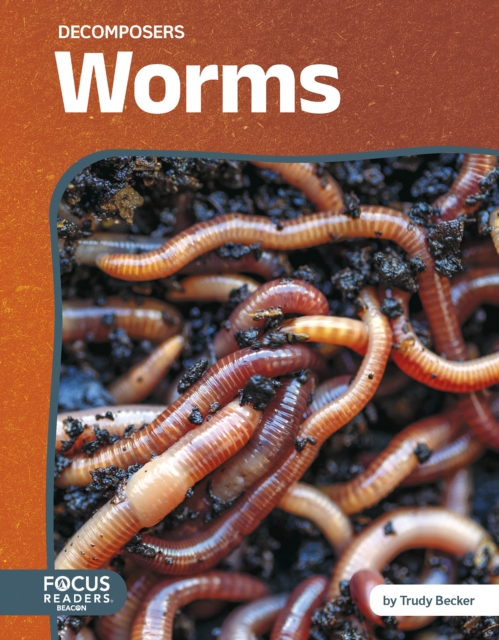 Worms