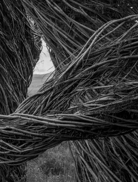 Patrick Dougherty | James Florio: Sticks