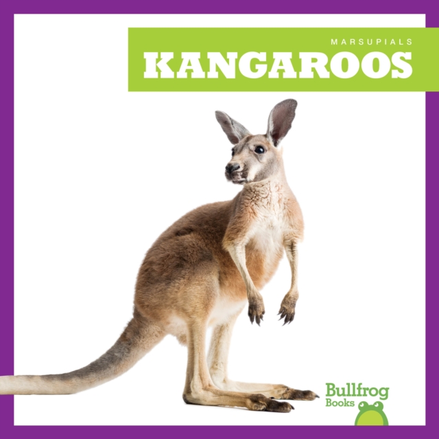 Kangaroos
