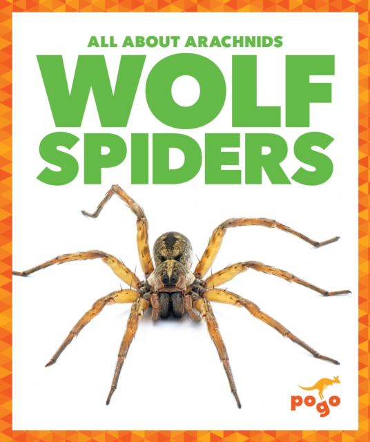 Wolf Spiders