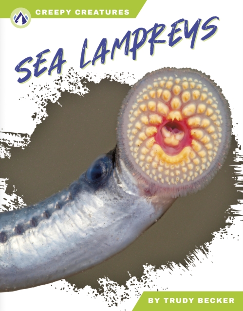 Sea Lampreys