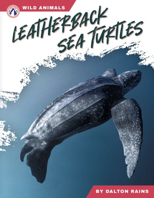 Leatherback Sea Turtles