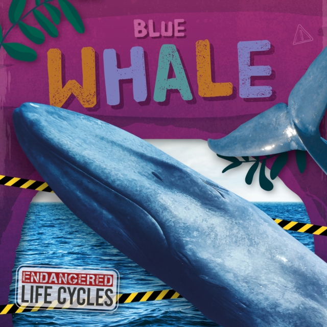 Blue Whale