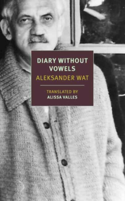 Diary Without Vowels