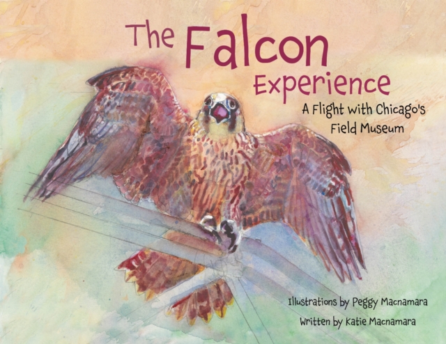 The Falcon Experience
