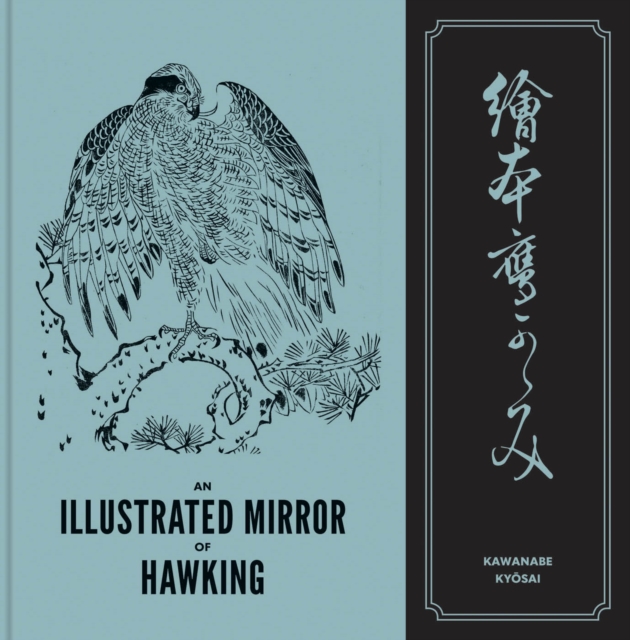 Illustrated Mirror of Hawking
