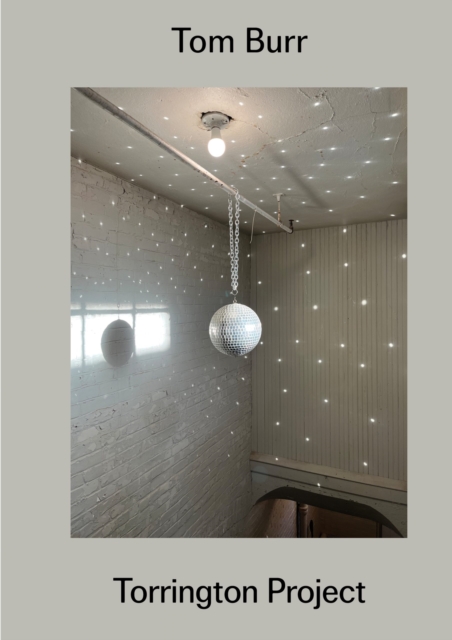 Tom Burr: Torrington Project